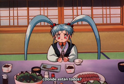 Tenchi Muyo! The Night Before the Carnival